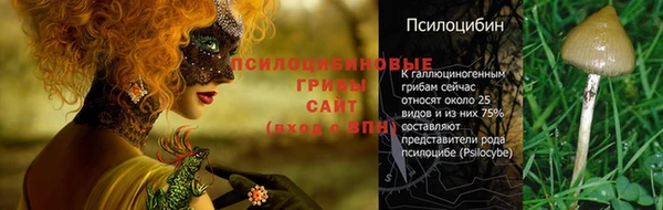 стафф Покровск