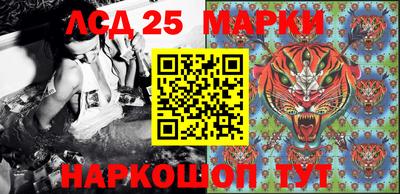 гашик Берёзовский