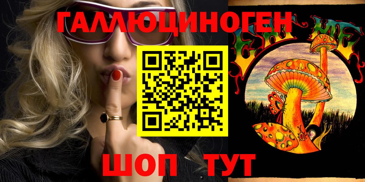 Галлюциногенные грибы Psilocybine cubensis Котовск
