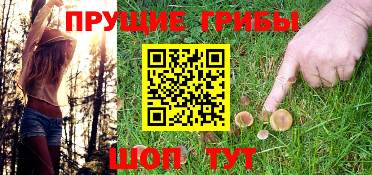 Галлюциногенные грибы ЛСД  Псилоцибиновые грибы ЛСД  Котовск 