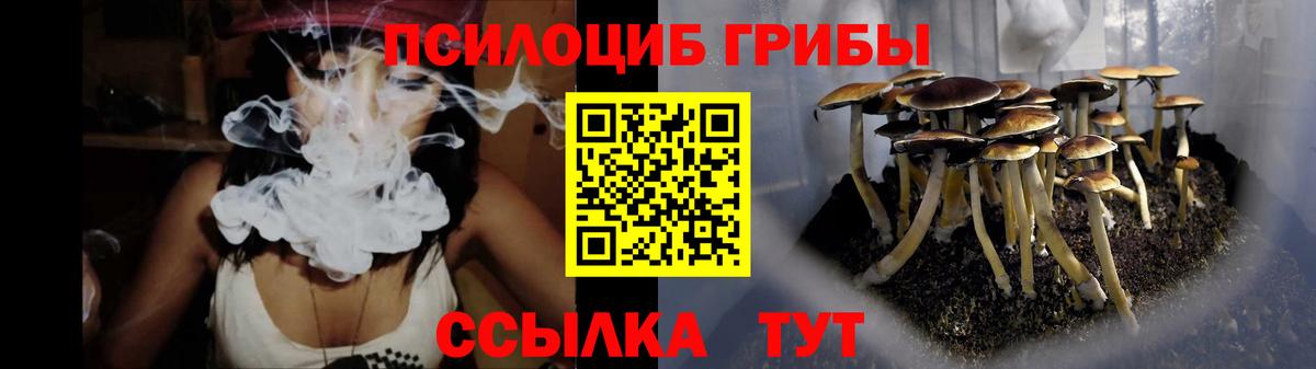 Котовск  Галлюциногенные грибы Magic Shrooms  Галлюциногенные грибы мухоморы  Вход с VPN 