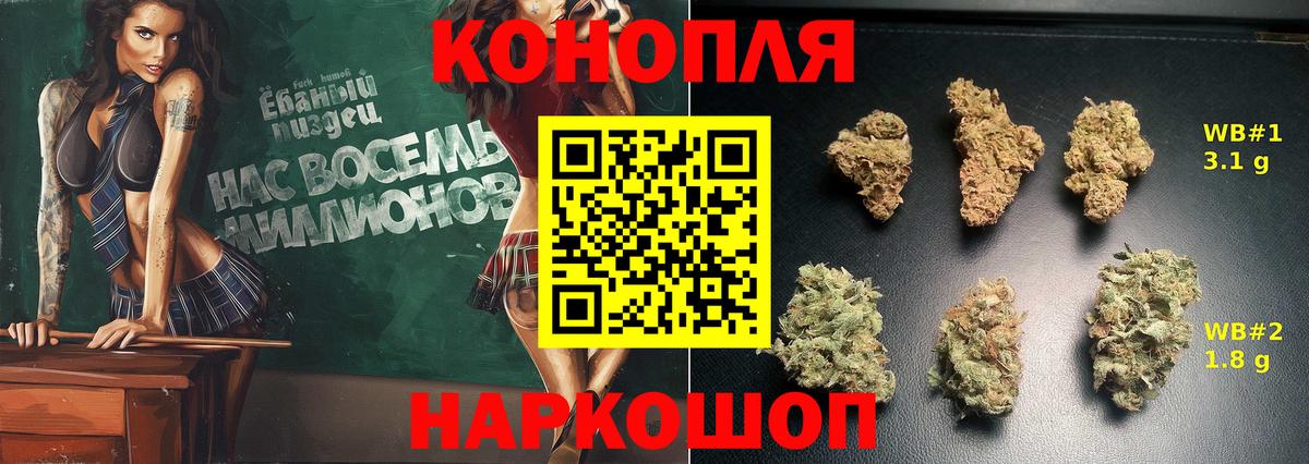Бошки Шишки SATIVA & INDICA  Конопля AK-47  Котовск  Бошки Шишки Ganja 